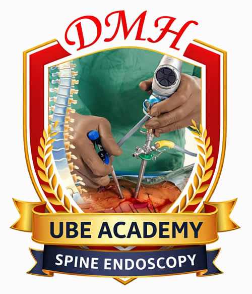 DMH UBE Academy Logo